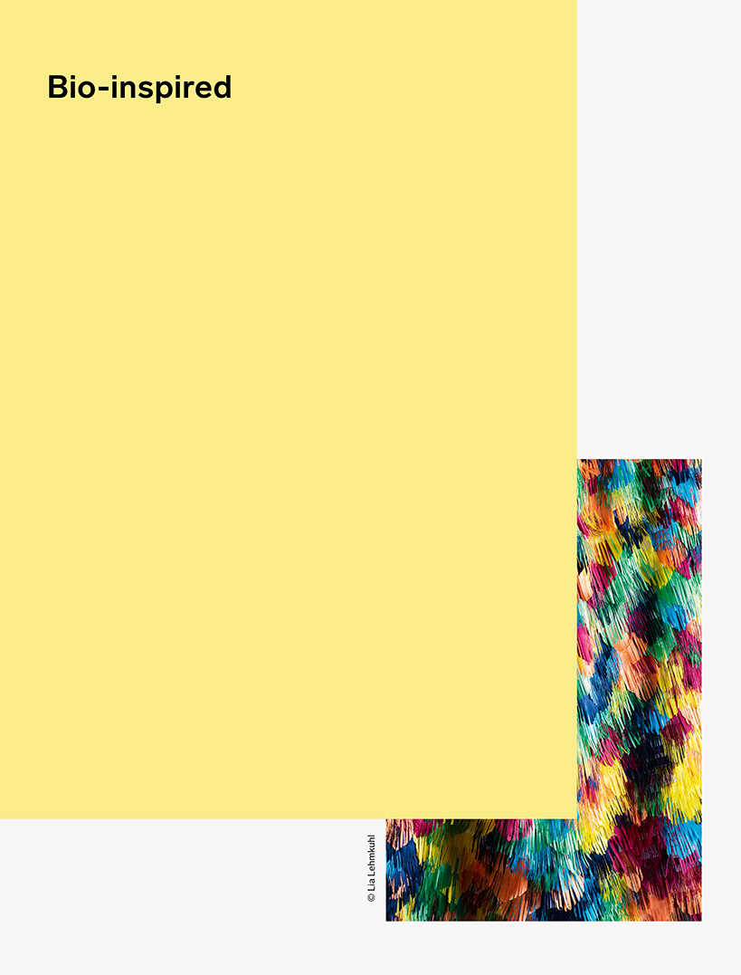 julia marquardt kunsthochschule berlin weißensee school of art berlin-weißensee fachgebiet textil- und flaechendesign department of textile and surface design bio-inspired heft booklet gestaltung graphic design